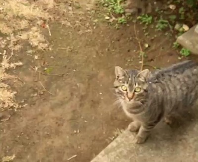 VideoCapture_20230124-201311