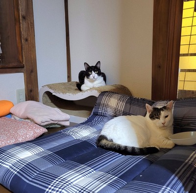 2022-08-20-18-08-23-881