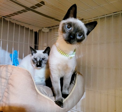 20241225_185943