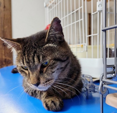 2022-06-25-15-21-35-509