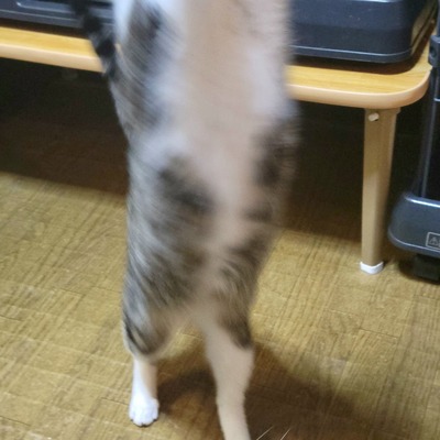 20260207_153224