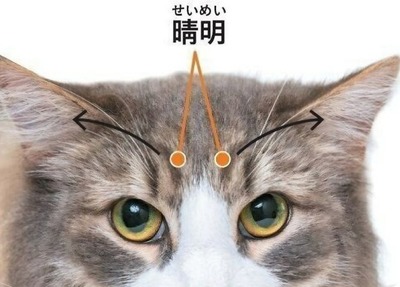 Screenshot_20240731_093420_LINE