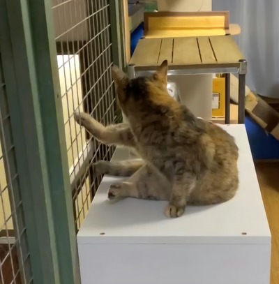 Screenshot_20260106_003259_LINE