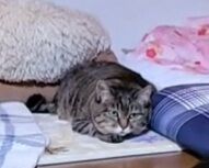 VideoCapture_20211225-204902