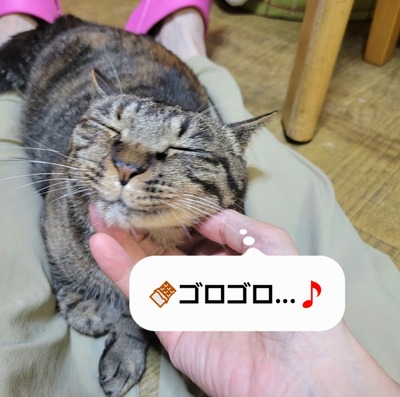 20260905_172244