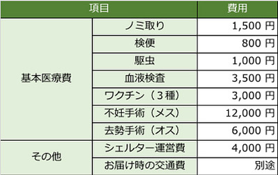 8d5d66_3362696e102b41ee8be8a433485dd076_mv2のコピー