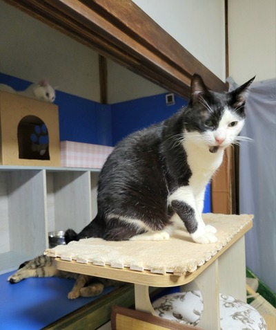 20260411_224807