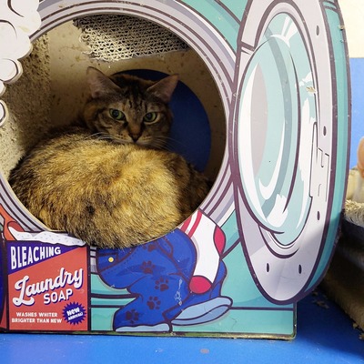 2022-01-22-17-20-16-388