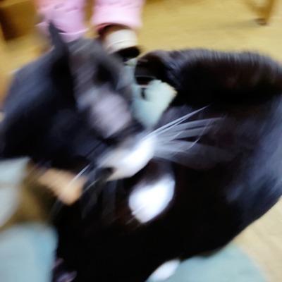 20250328_202136