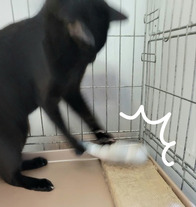 20260701_205537