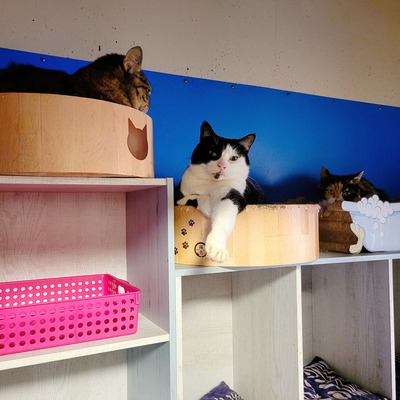 2022-09-10-11-41-12-642