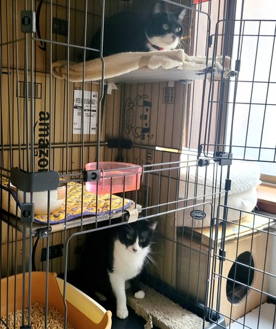 20250301_141854