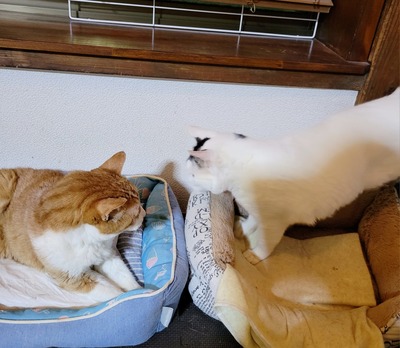 2023-09-29-19-11-28-480