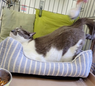 2022-07-02-19-03-21-628