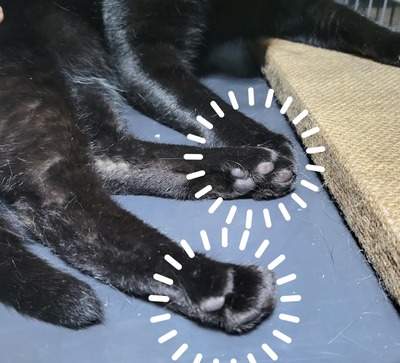 20260829_153505