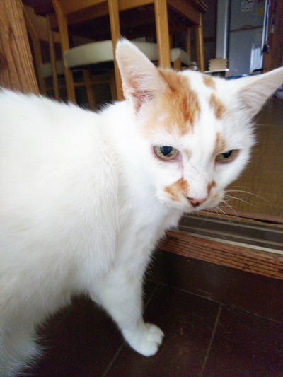 2019-11-04-10-01-07
