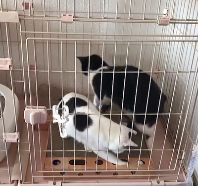 VideoCapture_20220317-180522