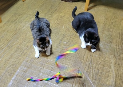 20250927_134657