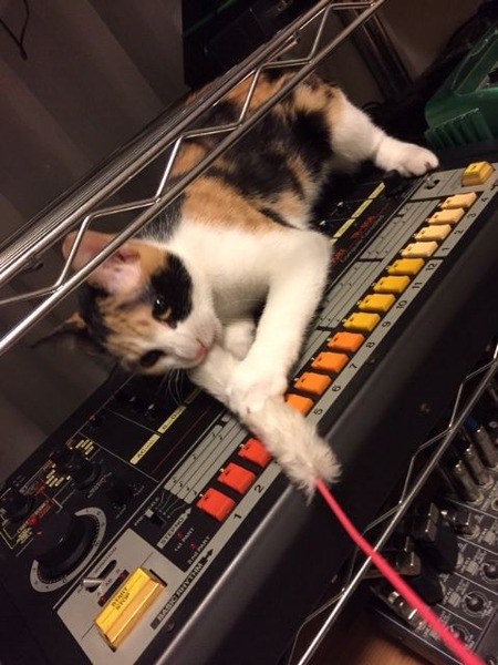 2015-01-05-22-55-18
