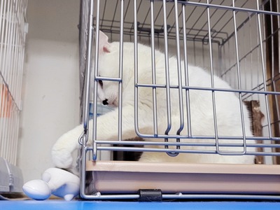 2022-03-19-16-25-32-195