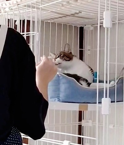 VideoCapture_20240901-101353