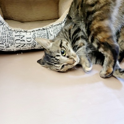 20241228_143746