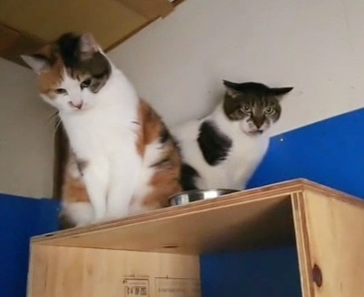 VideoCapture_20220523-222742