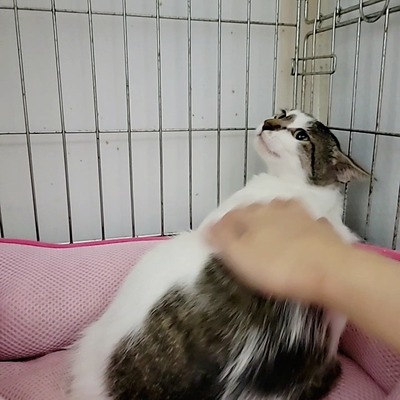 VideoCapture_20220812-005201