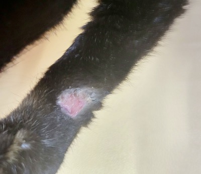 20250730_193113