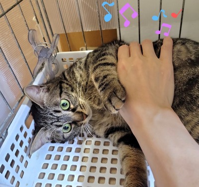 2023-05-04-23-40-23-449