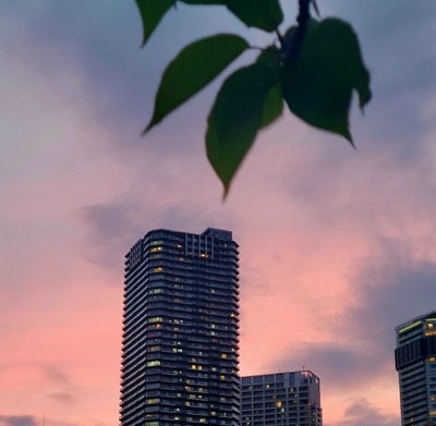 20260623_191256
