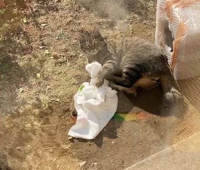 VideoCapture_20221223-144700