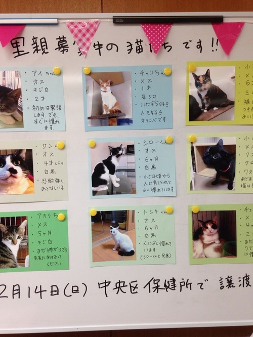 2014-11-30-11-03-28