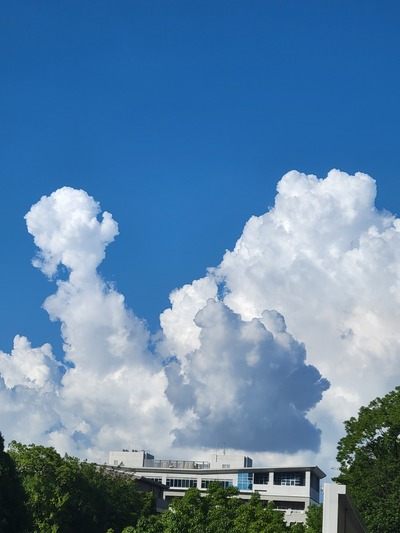 20260806_160653