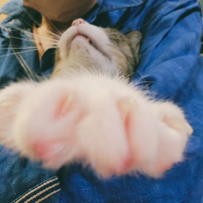 VideoCapture_20220921-194117