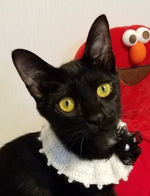 ぐり_1