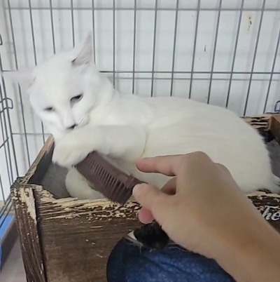 VideoCapture_20220326-154013