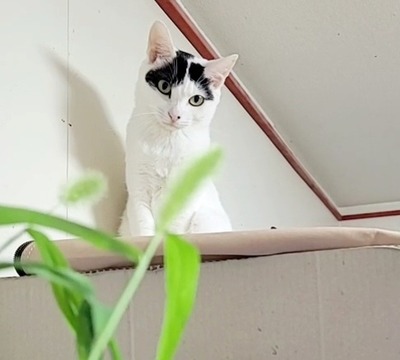 VideoCapture_20220904-095735