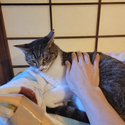 20251222_203514