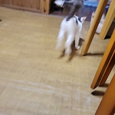 VideoCapture_20221003-223601