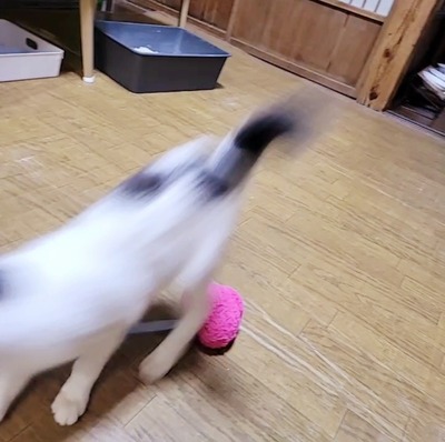 VideoCapture_20221003-223528