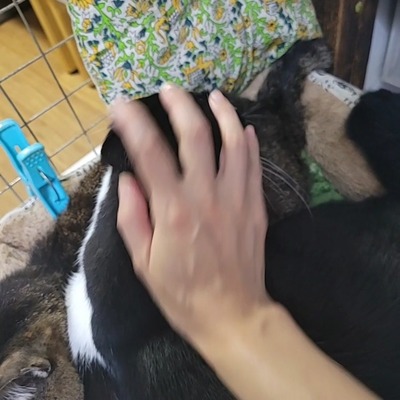 VideoCapture_20221210-232808