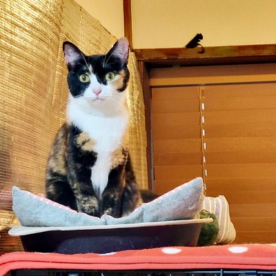 20250329_171054