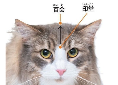 Screenshot_20240801_000158_LINE