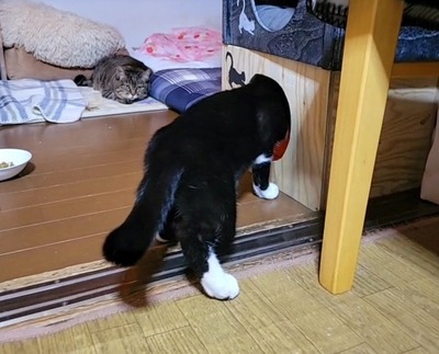 VideoCapture_20211225-204902