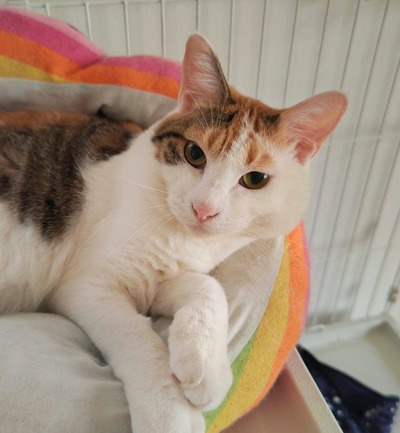1694173957221
