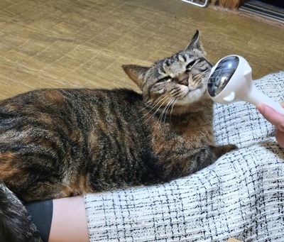 20261031_131352