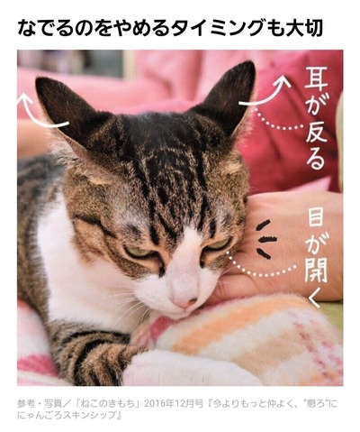 Screenshot_20220914-205321_LINE