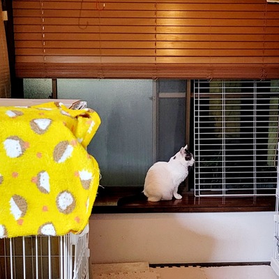20241016_200316