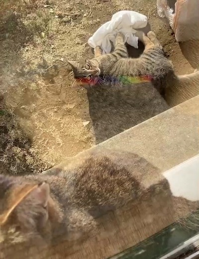 VideoCapture_20221223-144648